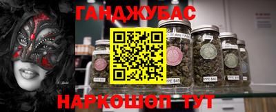 ECSTASY Новодвинск
